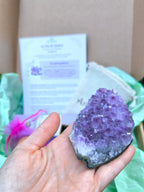 Kit "La via dell'Equilibrio" (2)