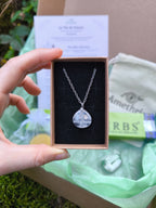 Kit "La via della Chiarezza"