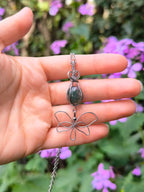Collana Metamorphosis