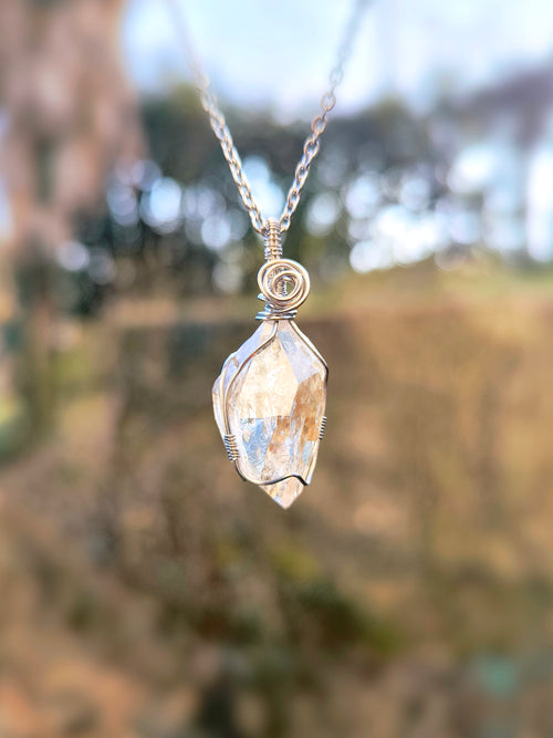 Collana Evidentia